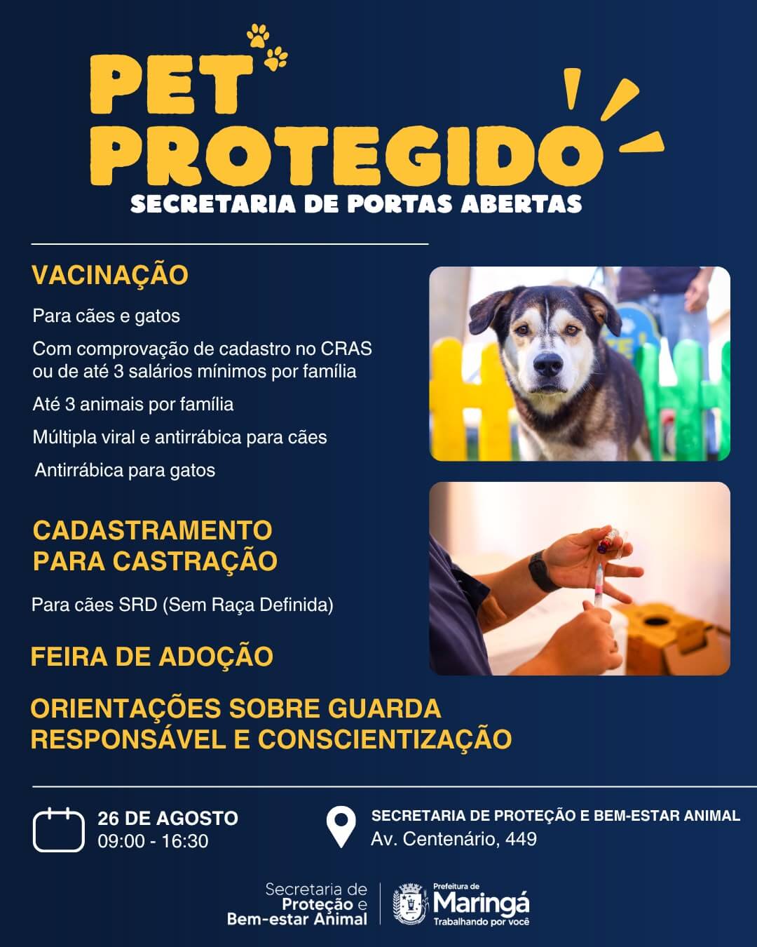 Capa de post: Secretaria de Proteção e Bem Estar Animal promove ação gratuita com vacinação e orientações