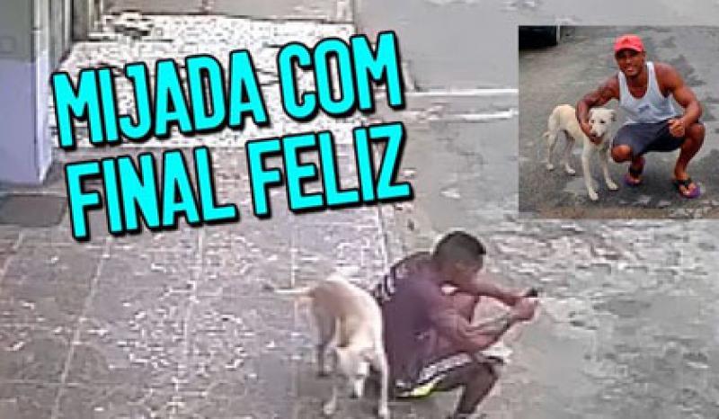 Capa de post: Cachorro confunde jovem com poste e é adotado depois de marcar território