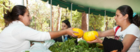 Capa de post: Feira de Orgânicos em Maringá